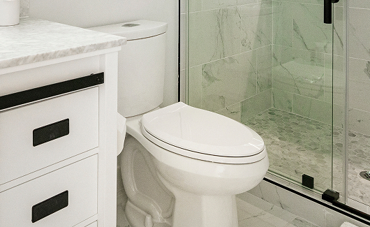 Sewer Line Services
